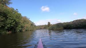 Image result for Runcorn Rowing Club