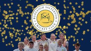 Image result for Bideford/Littleham/Westward Ho Cricket Club