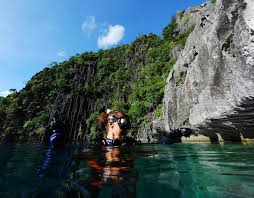 Image result for Dive Barracuda