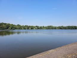 Image result for Blackbrook Rugby & Recreation Club