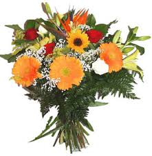 http://t0.gstatic.com/images?q=tbn:ANd9GcSvaVtB4cxf9RXY8CPGB9grBAGtDMyAaxnw66mwwfc7BRwKZyOD