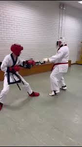 Image result for Forres Tang Soo Do