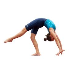 Image result for Torbay Olympic Gymnastics Club