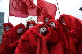 Image result for Reddish Rebels