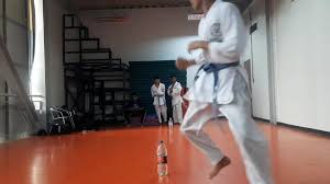 Image result for Sandokai Karate