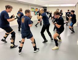 Image result for Godalming Autodefence Wing Tchun