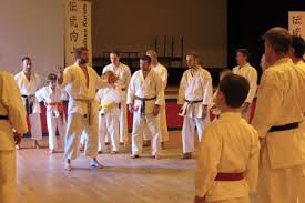 Image result for Backwell Karate