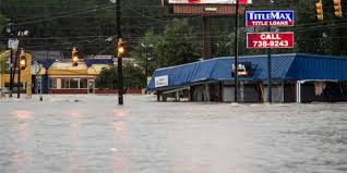 Image result for City Of Carlisle Sc