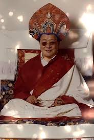 Image result for DIAMOND 貝谷