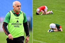Image result for Padraig Pearses