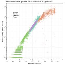 Image result for genome sizes
