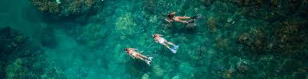 Image result for Wyndley NSC Snorkelling Club
