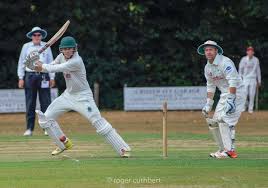 Image result for Halstead Cricket Club