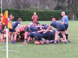 Image result for Ipswich Ym Rugby Union Football Club