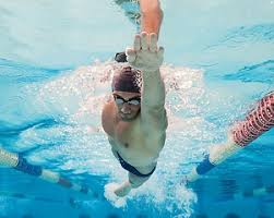 Image result for Loftus Dolphins Swimming Club