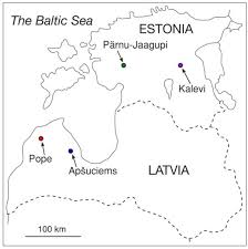 Attēlu rezultāti vaicājumam “Saussurea esthonica flower”