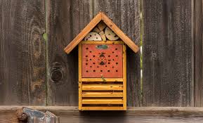 Image result for ladybug house