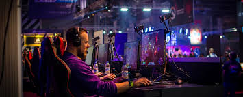 Image result for Southampton Stags