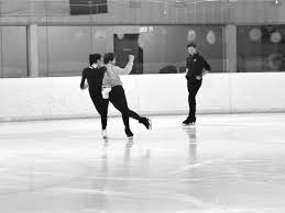 Image result for Mercian Ice Dance Club