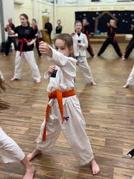 Image result for Maidenhead Karate Club