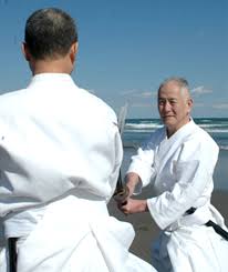 Image result for Budo Warrior Schools