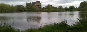 Image result for Addlestone Angling Society