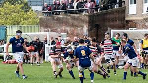 Image result for Novocastrians Rugby Football Club
