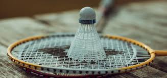 Image result for Racqueteers Junior Badminton Club