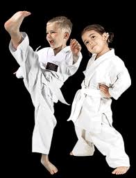 Image result for Phil Little Choi Kwang Do Academy