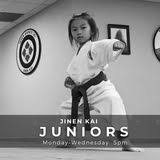 Image result for Jin Sei Kai Shotokan Karate