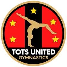 Image result for Gym Tots Gym Club