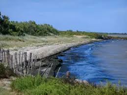 Image result for parque natural de camargue