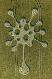 Image result for crop circles