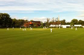 Image result for Old Dorkinian Cricket Club