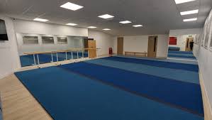 Image result for Harlequin Gymnastics Club