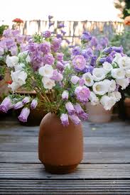 Image result for Marienglockenblumen