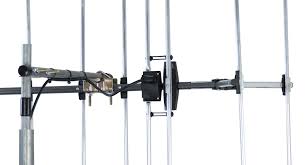 Image result for digitenne yagi