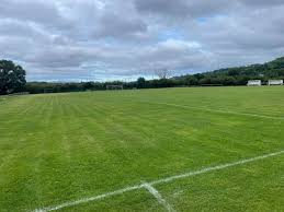 Image result for Harbertonford A F C