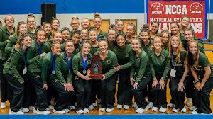 Image result for Hemsworth Odyssey Gymnastics Squad