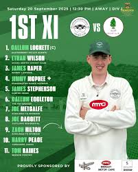 Image result for Alne Cricket Club