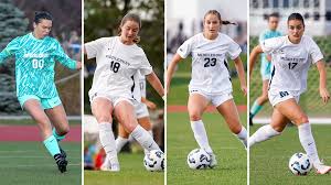 Image result for Hamilton Panthers Association Football Club