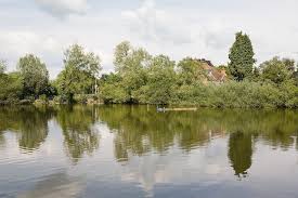 Image result for Bishops Waltham Cricket Club