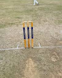 Image result for Lynchmere Cricket Club