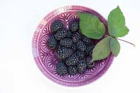 Image result for Rubus sectio