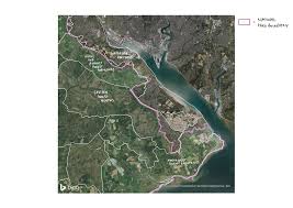 Image result for New Forest/Waterside