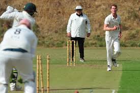 Image result for Brixham Cricket Club
