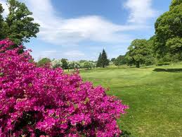 Image result for Largs Golf Club