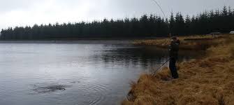 Image result for Ulverston Angling Association
