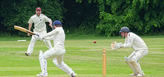 Image result for Grayshott Cricket Club