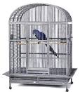 Parrot Cage